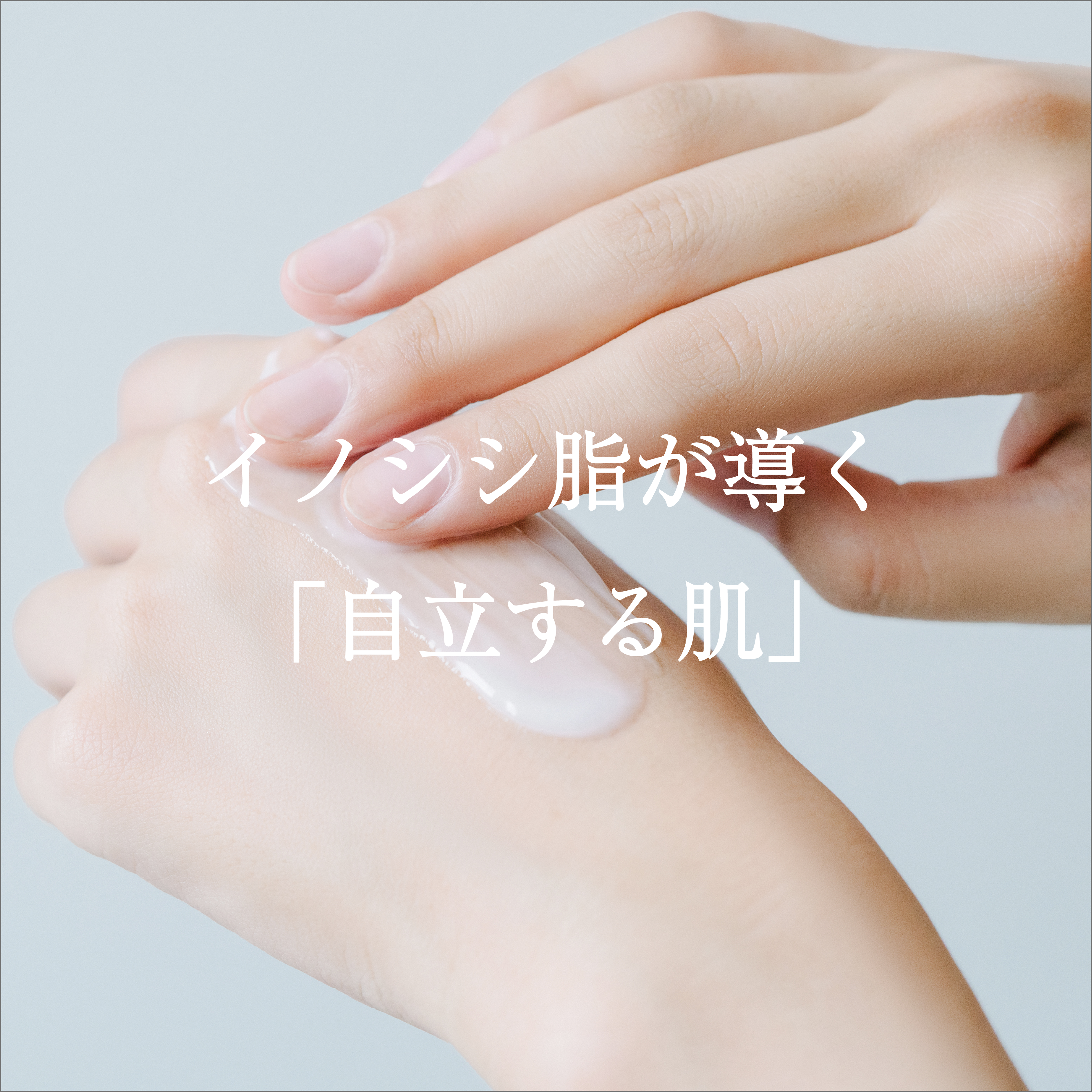 All-in-One Creamーイノシシ脂とセラミド配合の保湿クリームー