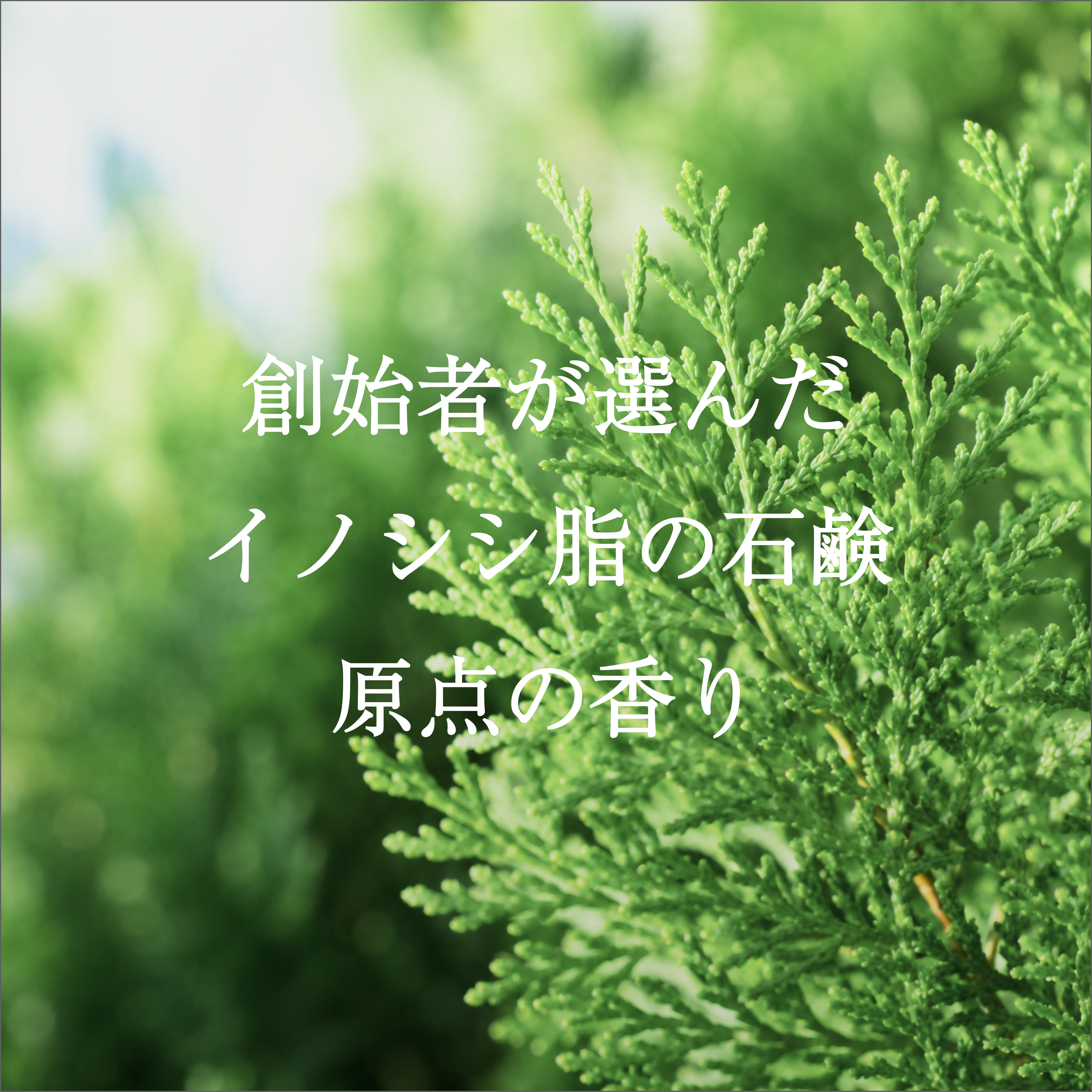 Garçon Soapー軽やかな洗い心地の石鹸ー