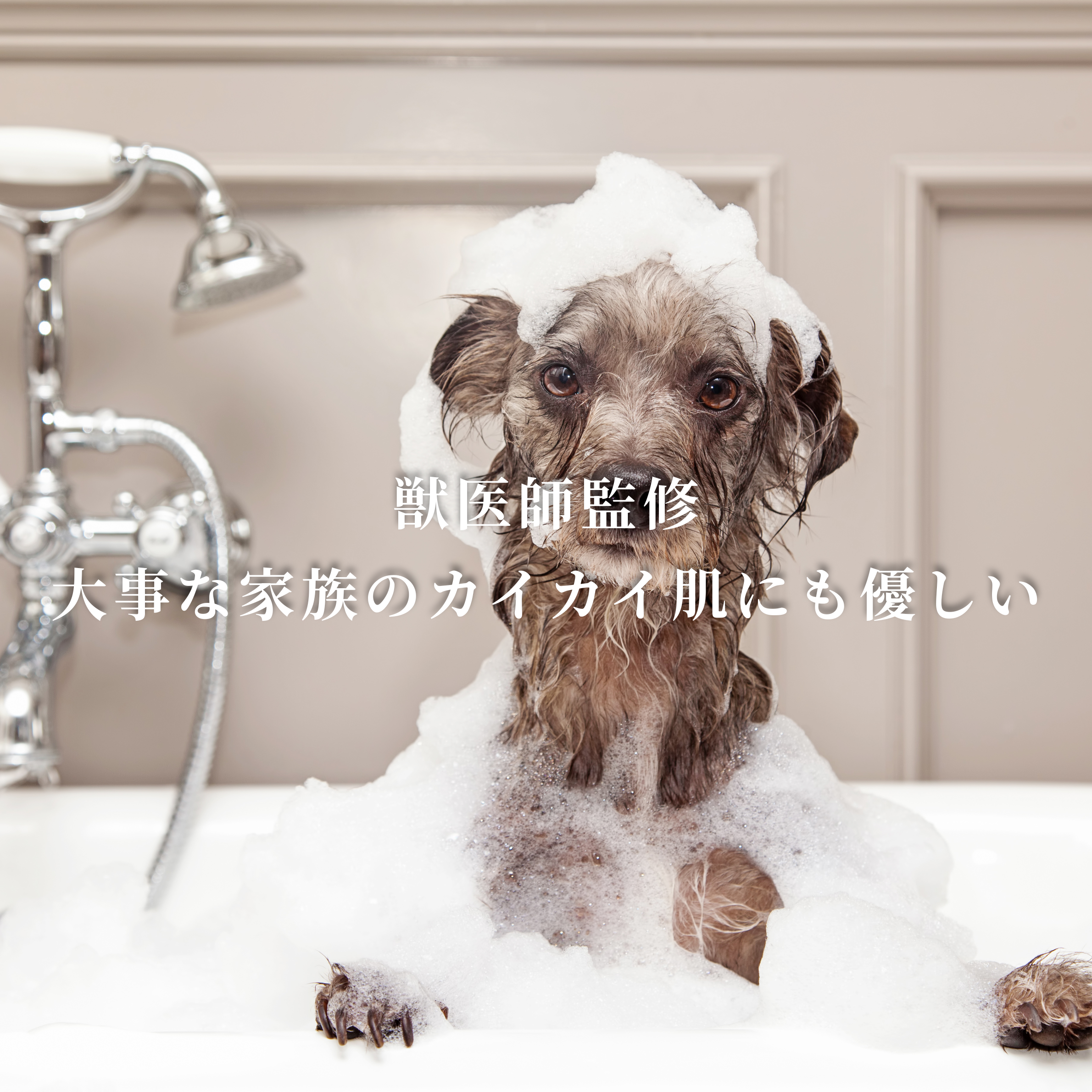 Bark&Shine Powder Shampoo with Refill bottleー犬の皮膚環境を考えたパウダーシャンプと専用ボトルー